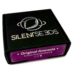 Original_Amnesia_Silent_Seeds