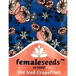 Iced_Grapefruit_FemaleSeeds_pack