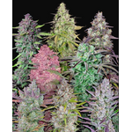 mix_pack_fast_buds