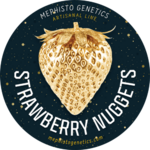 Strawberry_Nuggets_Mephisto_logo