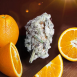 Orange_Bud_2.0_Plant_2_Dutch_Passion