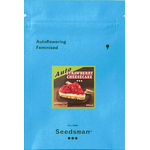 Strawberry_Cheesecake_Auto_Pack_Seedsman