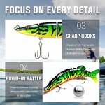 TRUSCEND LEURRES DE PÊCHE – SWIMBAIT RÉALISTE POUR CARNASSIERS 6