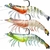 TRUSCEND LEURRES DE PÊCHE CREVETTE 1
