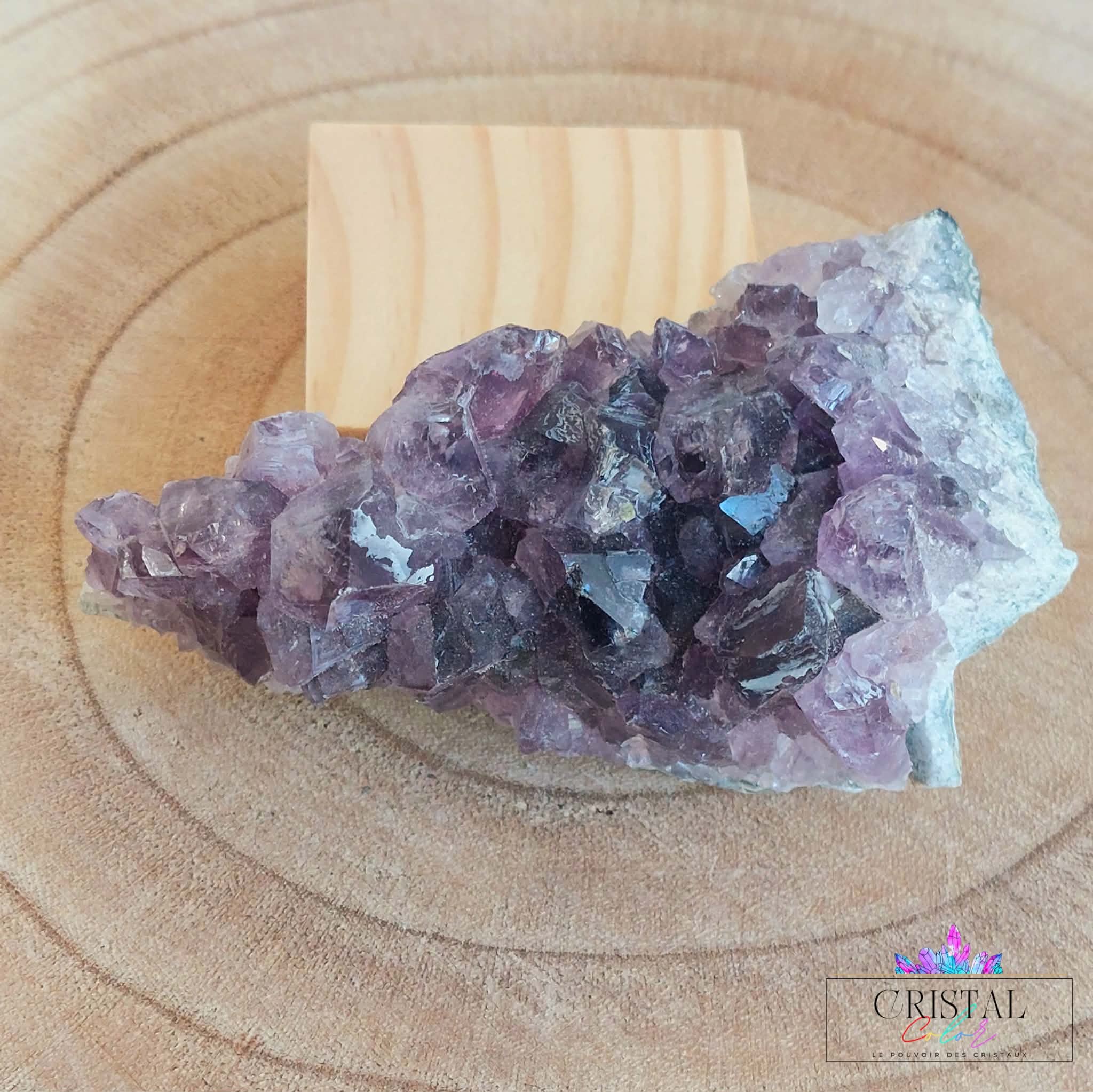 druse-amethyste-4-cristal-color-le-pouvoir-des-cristaux-pierres-naturelles