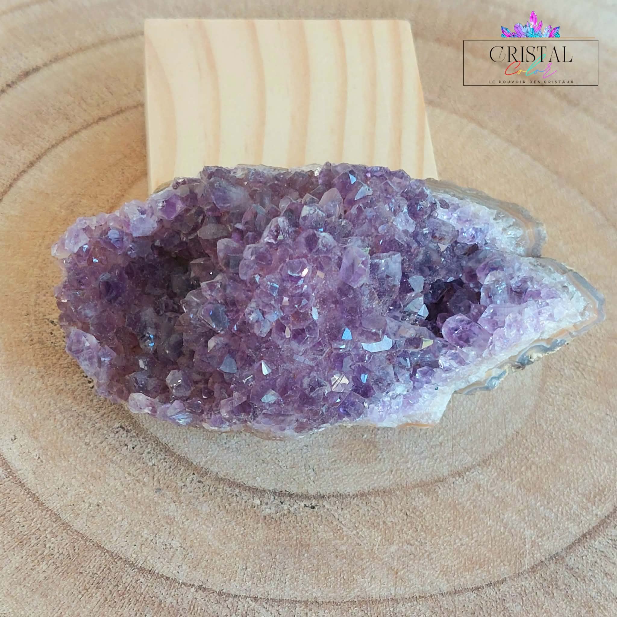 druse-amethyste-2-cristal-color-le-pouvoir-des-cristaux-pierres-naturelles
