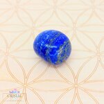 lapis-lazuli-seule-pierre-roulee-pierre-naturelle-2cm-cristal-color-le-pouvoir-des-cristaux-by-aline-lithotherapie