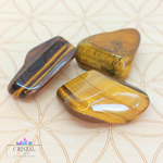 oeil-de-tigre-pierre-roulee-pierre-naturelle-2cm-cristal-color-le-pouvoir-des-cristaux-by-aline-lithotherapie