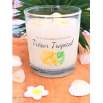 bougie-artisanale-cire-naturelle-parfum-de-grasse-monoi-pierre-naturelle-citrine-les-creas-scintillantes-by-cristal-color-tresor-tropical