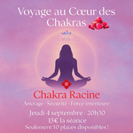 voyage-au-coeur-des-chakras-chakra-racine-cristal-color-le-pouvoir-des-cristaux
