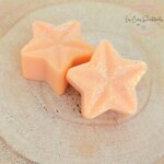 fondant-parfumé-cire-vegetale-étoile-olive-parfum-caramel-beurre-salé-de-grasse-les-creas-scintillantes-by-cristal-color