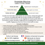 bougie-artisanale-cs-signature-en-attendant-le-pere-noel-vert-cire-vegetale-les-creas-scintillantes-by-cristal-color-1