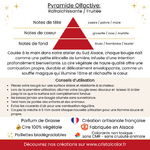 bougie-artisanale-cs-signature-baies-givrees-bordeau-cire-vegetale-les-creas-scintillantes-by-cristal-color-1