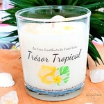 bougie-tresor-tropical-citrine-bougie-parfumee-les-creas-scintillantes-by-cristal-color