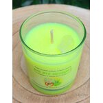 bougie-artisanale-anti-moustiques-citronnelle-géranium-cire-végétale-parfum-de-grasse-cristal-de-roche-pierres-naturelles-cristal-color-2