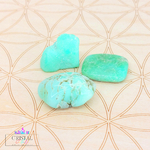 chrysoprase-pierre-roulee-pierre-naturelle-2cm-cristal-color-le-pouvoir-des-cristaux-by-aline-lithotherapie