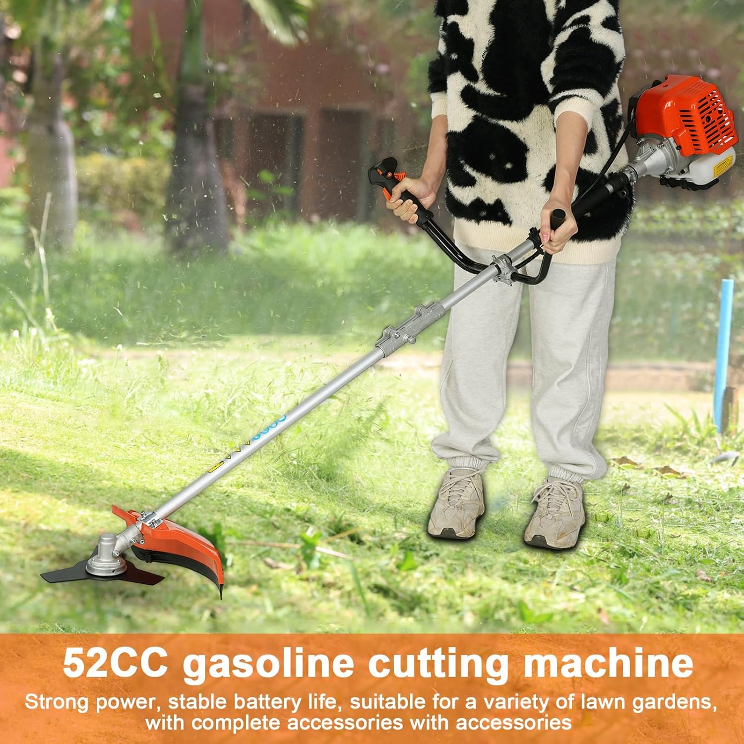 81t6VVx-CQL._AC_SL1500_