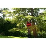 81aory-SqNL._AC_SL1500_