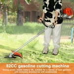 81t6VVx-CQL._AC_SL1500_