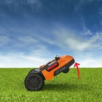 71WFYUeBgUS._AC_SL1000_