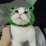 51yB1qS+JkL._AC_SL1000_