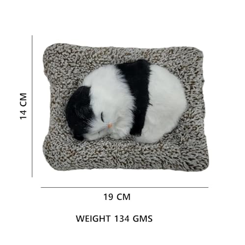 Top view of the sleeping cat and cushion, showing shape and dimensions