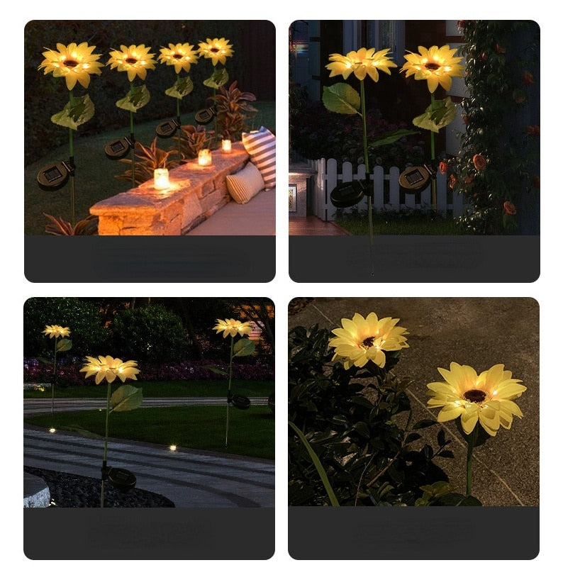 S3d0960519c954e7da5ce042c7f5196dbW