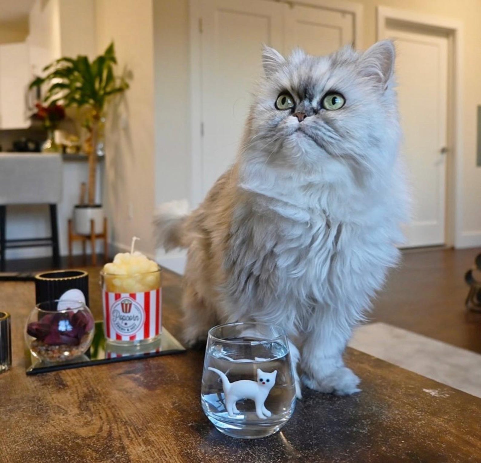 Top-down view of a stemless Murano cup with a tiny cat figurine at the base