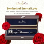 513LI02G-nL