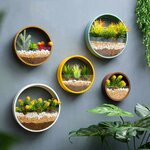 product-image-1535446358