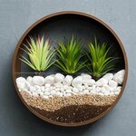 product-image-1535446380-sw