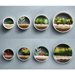 product-image-1535446373-sw