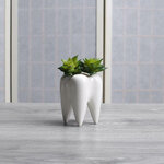 product-image-451076429-sw