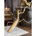 product-image-1022392435-sw