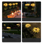S3d0960519c954e7da5ce042c7f5196dbW