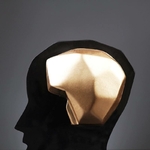 product-image-1142548041