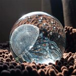 product-image-1241760224-sw