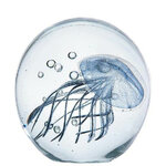 product-image-1241760216-sw