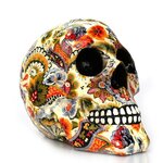 product-image-1268091827