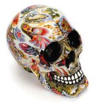 product-image-1817337517