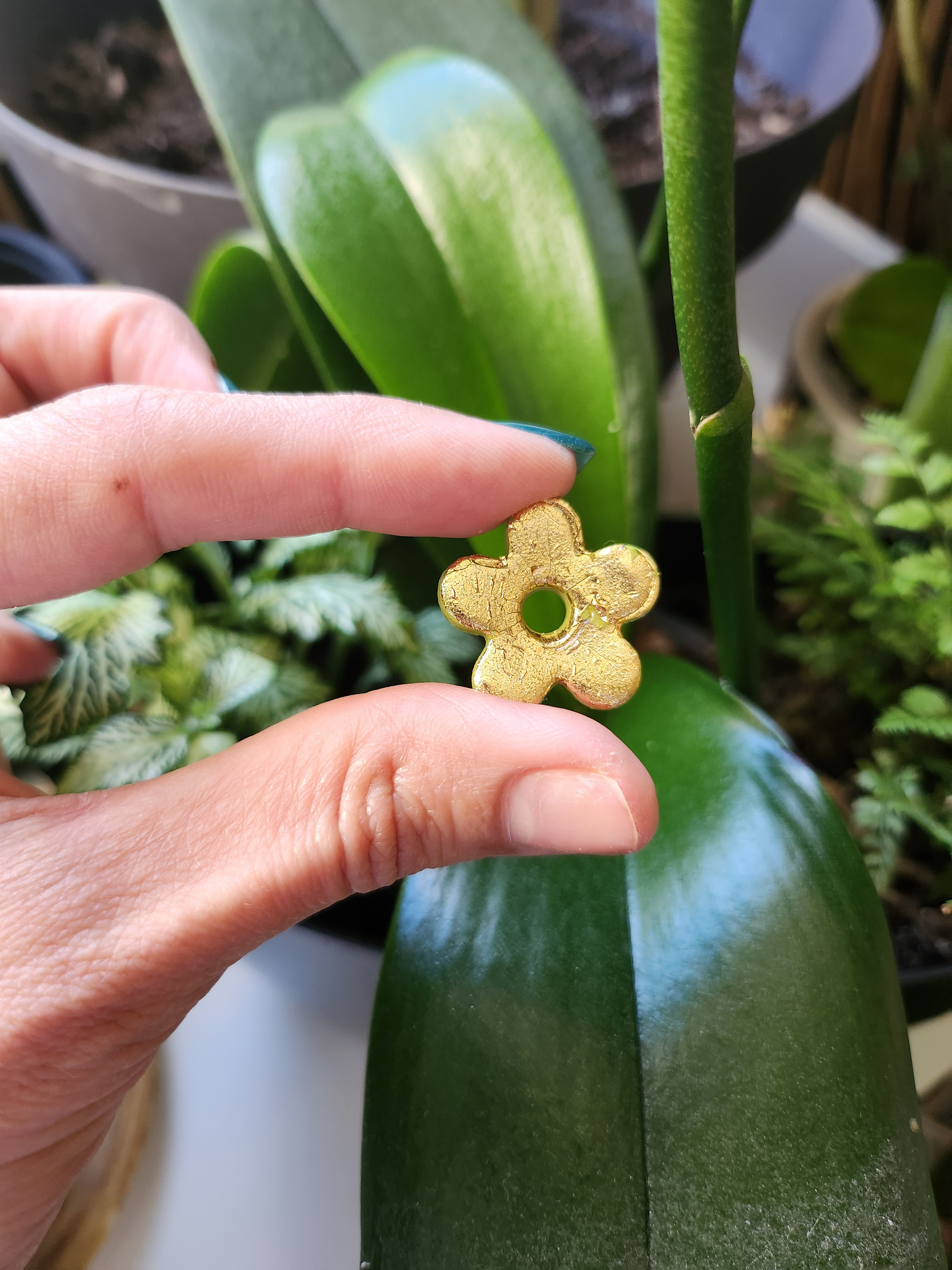 Flora charms M or