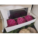 bougies-parfumées-pivoine