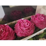 coffret-bougies-pivoines