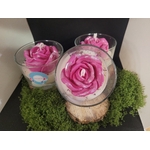 bougie-blanche-rose
