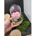 bougie parfumée sous cloche