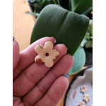 Flora charms XL pate polymere motif girafe