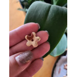 Flora charms mini pate polymere