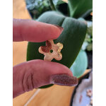 Flora charms mini pate polymere motif girafe
