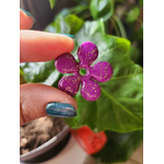 flora charms XXL fuchsia