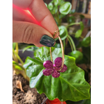 flora charms XXL avec boucle